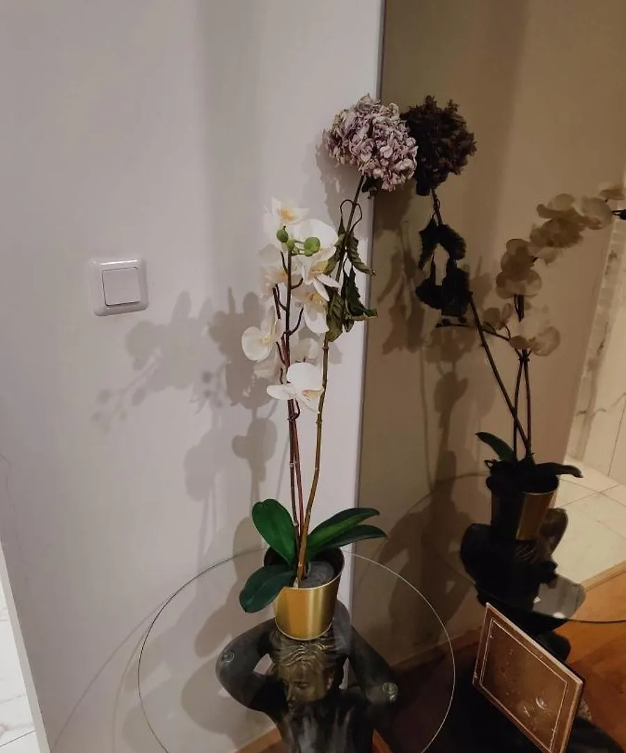 Xuba Apartmentrooms Messe Wien Prater Vídeň